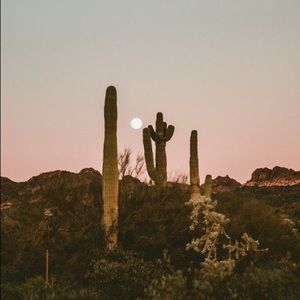 Meet your Posher, Kami